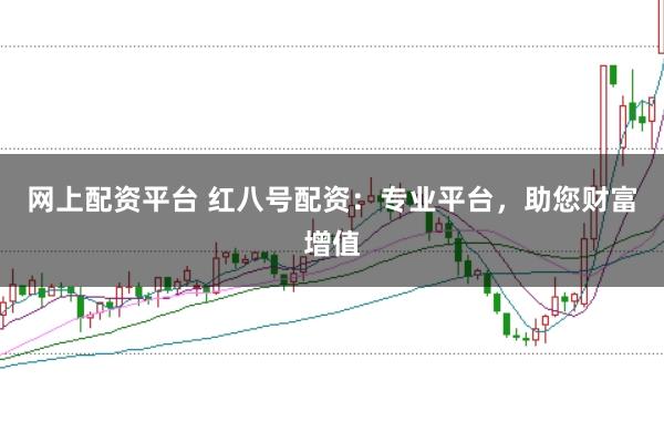 网上配资平台 红八号配资：专业平台，助您财富增值