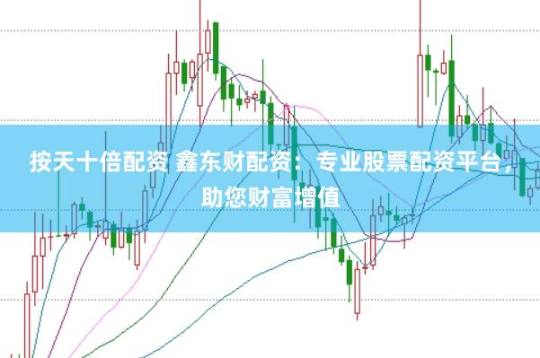 按天十倍配资 鑫东财配资：专业股票配资平台，助您财富增值