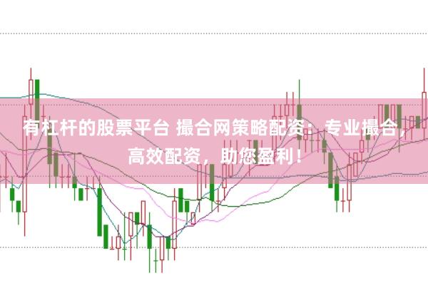 有杠杆的股票平台 撮合网策略配资：专业撮合，高效配资，助您盈利！