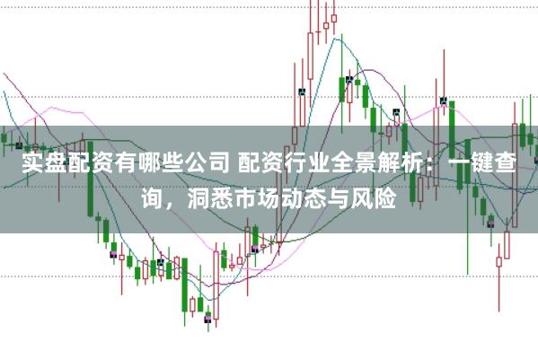实盘配资有哪些公司 配资行业全景解析：一键查询，洞悉市场动态与风险
