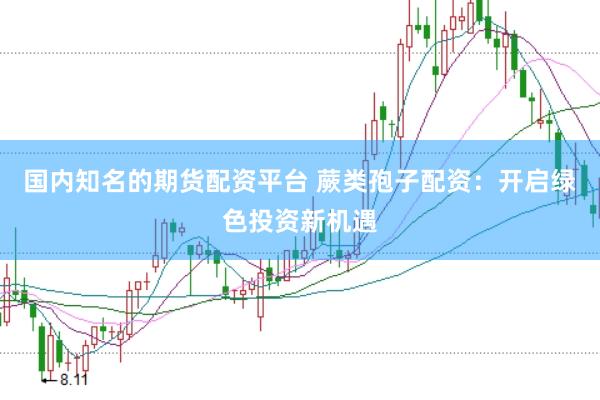 国内知名的期货配资平台 蕨类孢子配资：开启绿色投资新机遇