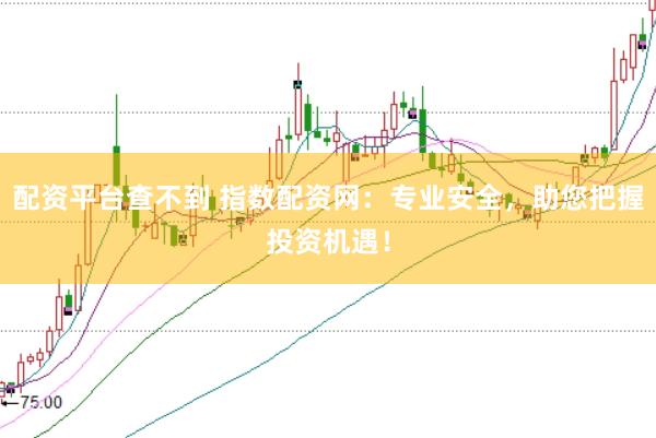 配资平台查不到 指数配资网：专业安全，助您把握投资机遇！
