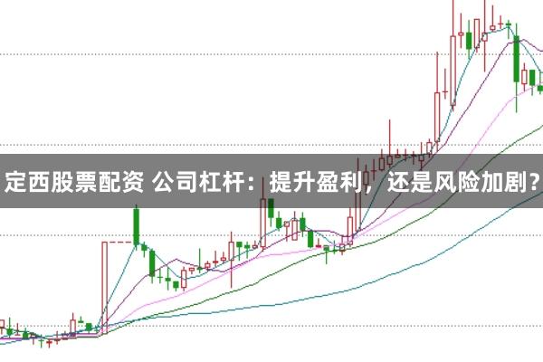 定西股票配资 公司杠杆：提升盈利，还是风险加剧？