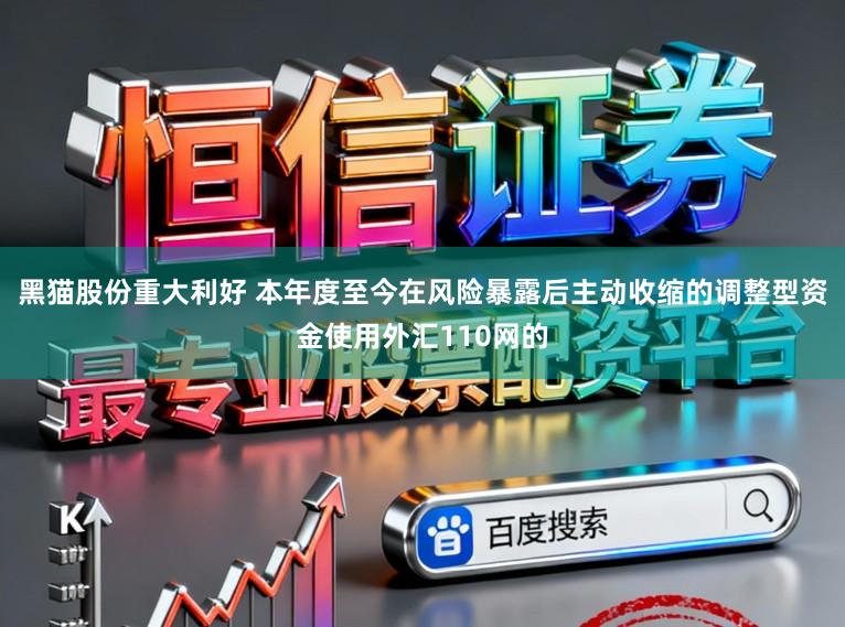 黑猫股份重大利好 本年度至今在风险暴露后主动收缩的调整型资金使用外汇110网的